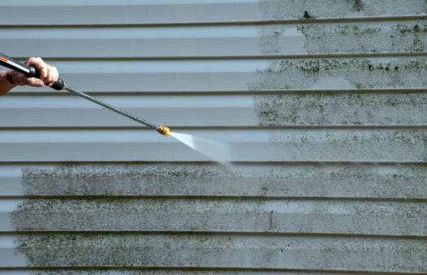Best Best Pressure Washing Companies  in Seadrift, TX