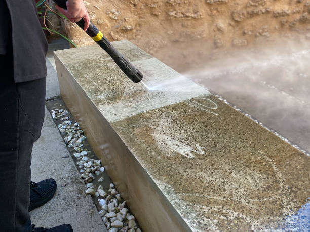 Best Roof Pressure Washing  in Seadrift, TX